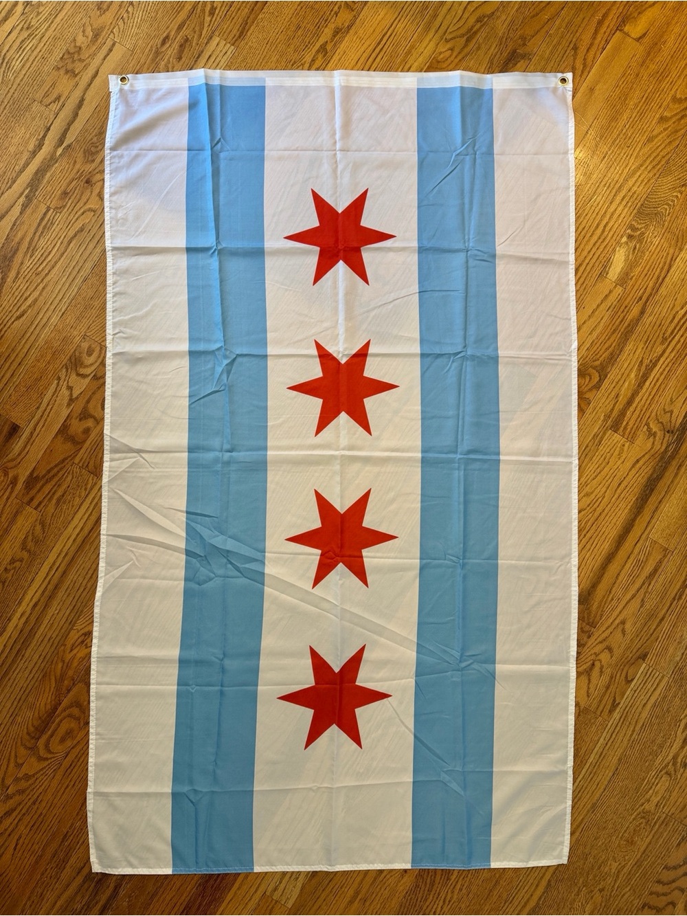 Chicago City Indoor Outdoor 3x5 Flag